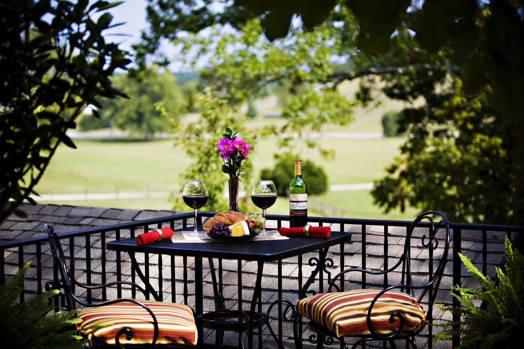 Private wine tasting