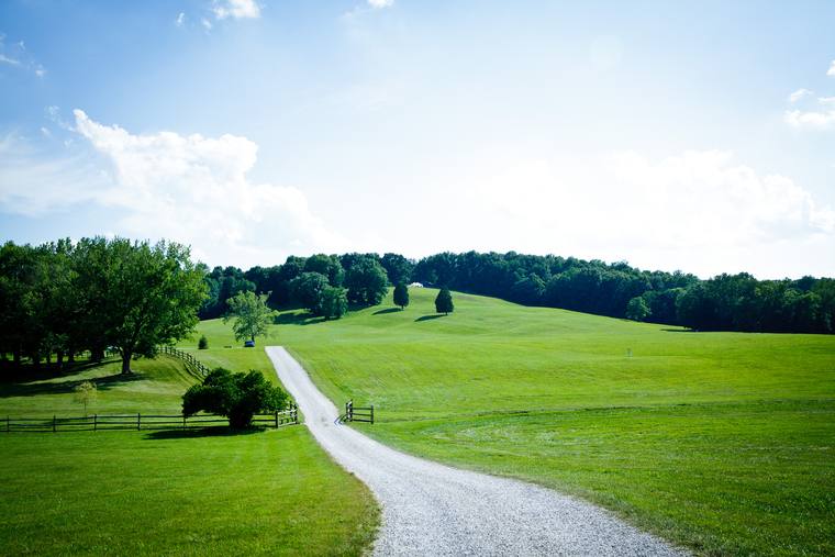 The gravel drive climbing up through open pasture to the Estate