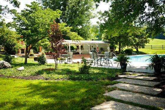 Gardens and planting around the pool terrace